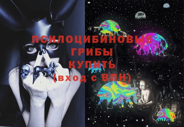 ешки Верхний Тагил