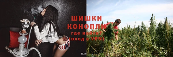 ешки Верхний Тагил