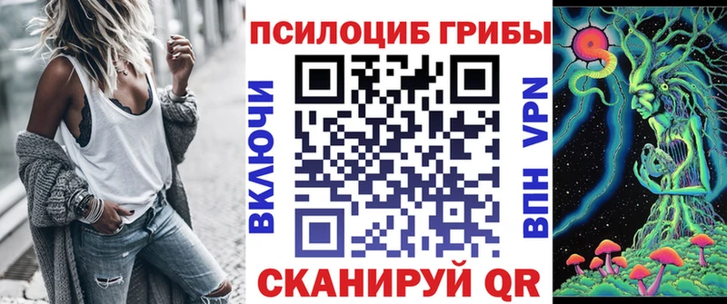 Купить где  Рудня  Галлюциногенные грибы Psilocybe 
